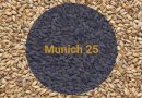 Солод Мюнхенский 25 / Munich 25, 20-30 EBC (Soufflet) 5кг.