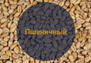 Солод Пшеничный / Malt De Ble, 2-5 EBC (Soufflet), 1 кг.